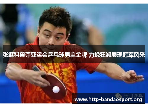 张继科勇夺亚运会乒乓球男单金牌 力挽狂澜展现冠军风采 张继科勇夺亚运会乒乓球男单金牌 力挽狂澜展现冠军风采