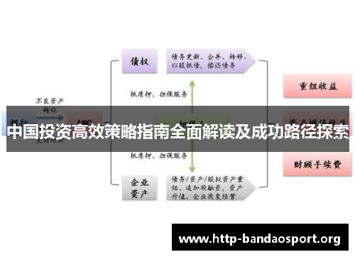 中国投资高效策略指南全面解读及成功路径探索 中国投资高效策略指南全面解读及成功路径探索