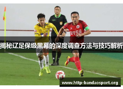 揭秘辽足保级黑幕的深度调查方法与技巧解析 揭秘辽足保级黑幕的深度调查方法与技巧解析