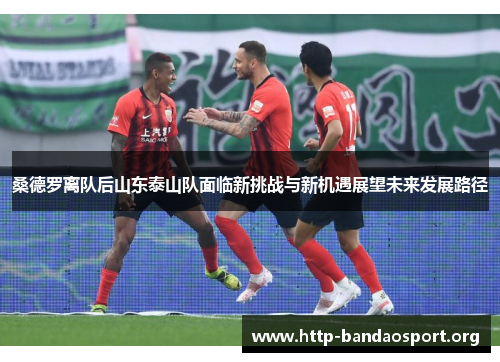 桑德罗离队后山东泰山队面临新挑战与新机遇展望未来发展路径 桑德罗离队后山东泰山队面临新挑战与新机遇展望未来发展路径
