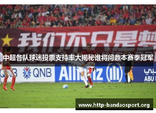 中超各队球迷投票支持率大揭秘谁将问鼎本赛季冠军 中超各队球迷投票支持率大揭秘谁将问鼎本赛季冠军