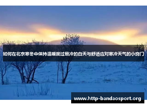 如何在北京寒冬中保持温暖度过最冷的白天与舒适应对寒冷天气的小窍门 如何在北京寒冬中保持温暖度过最冷的白天与舒适应对寒冷天气的小窍门