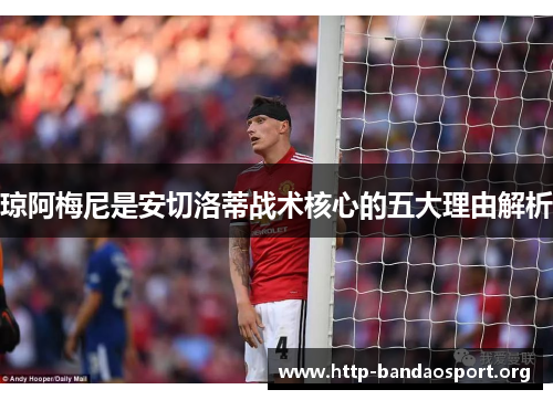 琼阿梅尼是安切洛蒂战术核心的五大理由解析 琼阿梅尼是安切洛蒂战术核心的五大理由解析