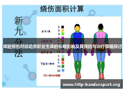 肾脏损伤对运动员职业生涯的长期影响及其预防与治疗策略探讨 肾脏损伤对运动员职业生涯的长期影响及其预防与治疗策略探讨