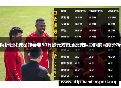 解析归化球员转会费50万欧元对市场及球队影响的深度分析 解析归化球员转会费50万欧元对市场及球队影响的深度分析