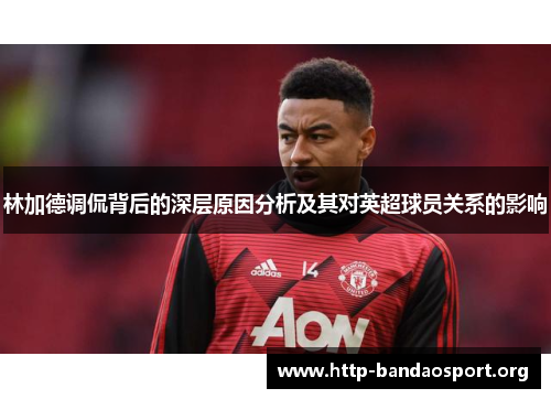 林加德调侃背后的深层原因分析及其对英超球员关系的影响 林加德调侃背后的深层原因分析及其对英超球员关系的影响